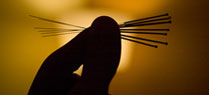 Pet Acupuncture