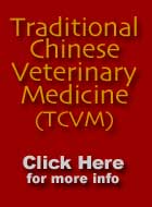 TCVM